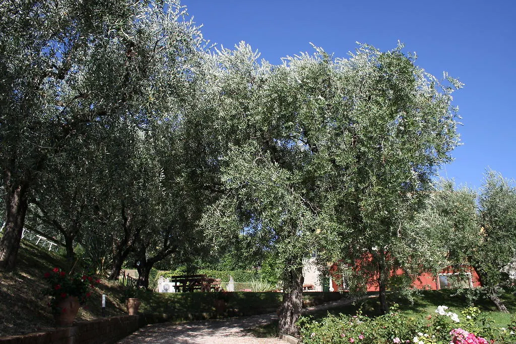 Casaliva Relais Hotel Bardolino 0*,  Italië